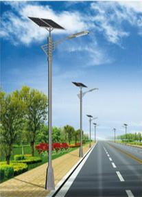 1742827545426759.jpg 肃北太阳能路灯.jpg